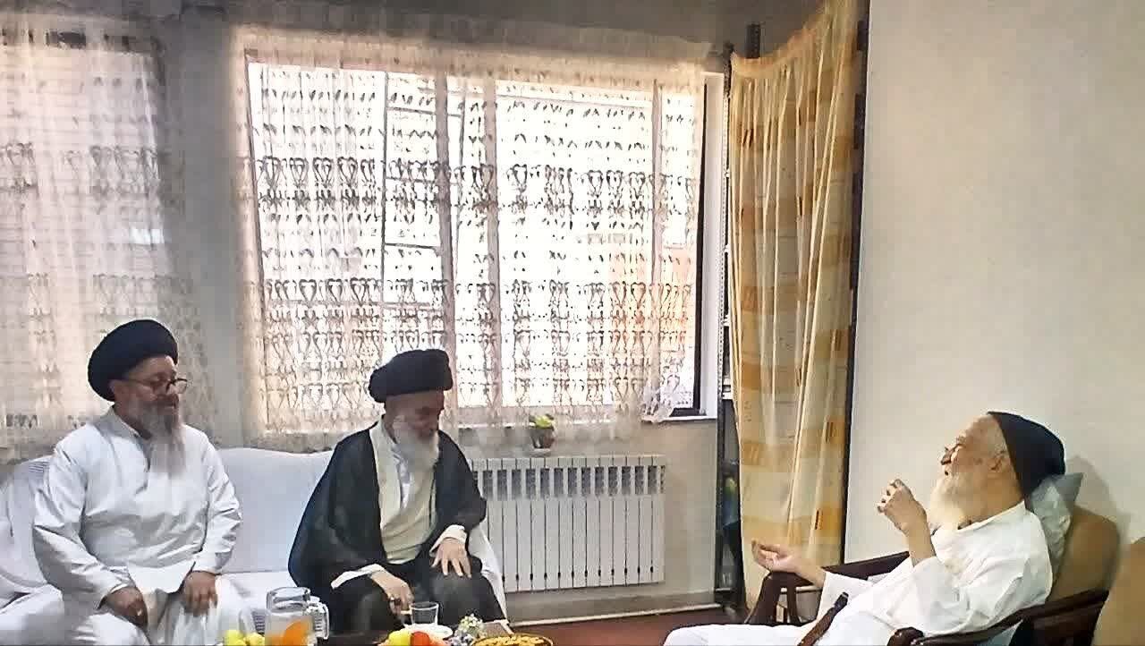 دیدار آیتالله حسینیبوشهری با آیتالله موحدیکرمانی