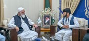 مسلمانوں میں نفرت پھیلانے والے عناصر امریکی ایجنڈے کے سپاہی ہیں، علامہ جواد نقوی