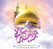 حضرت زینب (س) کی زبانِ حق اور بصیرت افروز کلام، میدانِ جہاد میں مجاہدین کی تلوار سے کم نہ تھا