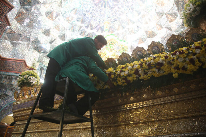 تزيين ضريح السيدة فاطمة المعصومة (عليها السلام) بالورود في ذكرى ولادة العقيلة زينب (عليها السلام)