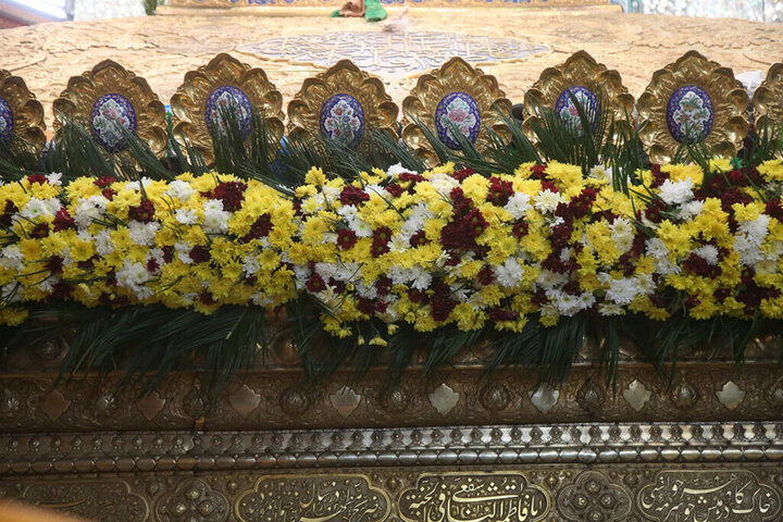 تزيين ضريح السيدة فاطمة المعصومة (عليها السلام) بالورود في ذكرى ولادة العقيلة زينب (عليها السلام)