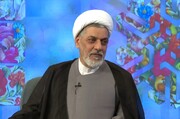 اعتدال، غور و فکر اور آزادگی سیرتِ نبویؐ کے اہم اصول ہیں: حجۃ الاسلام رفیعی