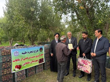 تجلیل امام جمعه سلماس از باغداران پرداخت‌کننده زکات در طرح «شجره طیبه» + تصاویر