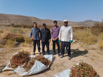 وقف، پشتوانه ماندگار حوزه/ طلاب حاجی‌آباد، ثمره نیک‌اندیشی واقف را به دستان خود برداشتند