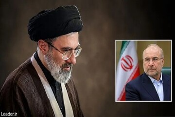 دیدار رئیس مجلس شورای اسلامی با رهبر معظم انقلاب اسلامی