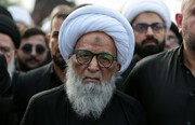 آية الله العظمى النجفي يتوسط المسيرة الفاطمية السنوية في النجف الأشرف بمشاركة جماهيرية واسعة (صور)