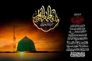 حضرت زہراء (س) سراپا مجاہدت و مقاومت