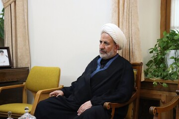 تأکید عضو کمیسیون فرهنگی مجلس بر نقش قهرمانان ورزشی در اقتدار و عزت ایران