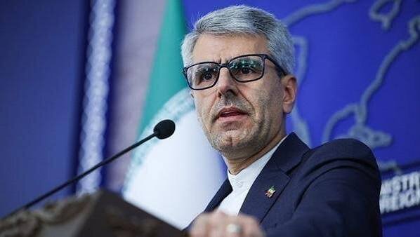 Baqaei: Resilience of Iranian people strengthened the country's power, foiled attempts to break its will
