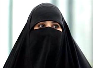 ہالینڈ میں برقعے پر پابندی  اسلامو فوبیا کا نتیجہ ہے/ہالینڈ میں اسلام دشمنی کی شرح  میں تیزی سے اضافہ ہو رہا ہے