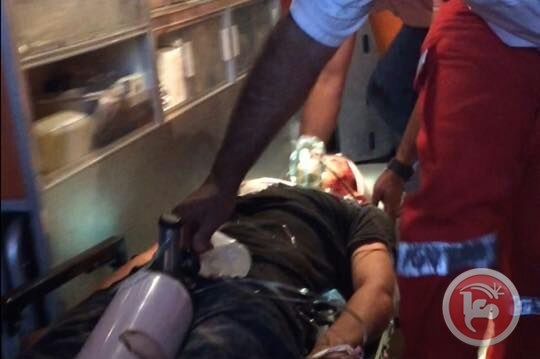 20 Palestinians Injured, 1 Critically, After Israel Violently Attack ...