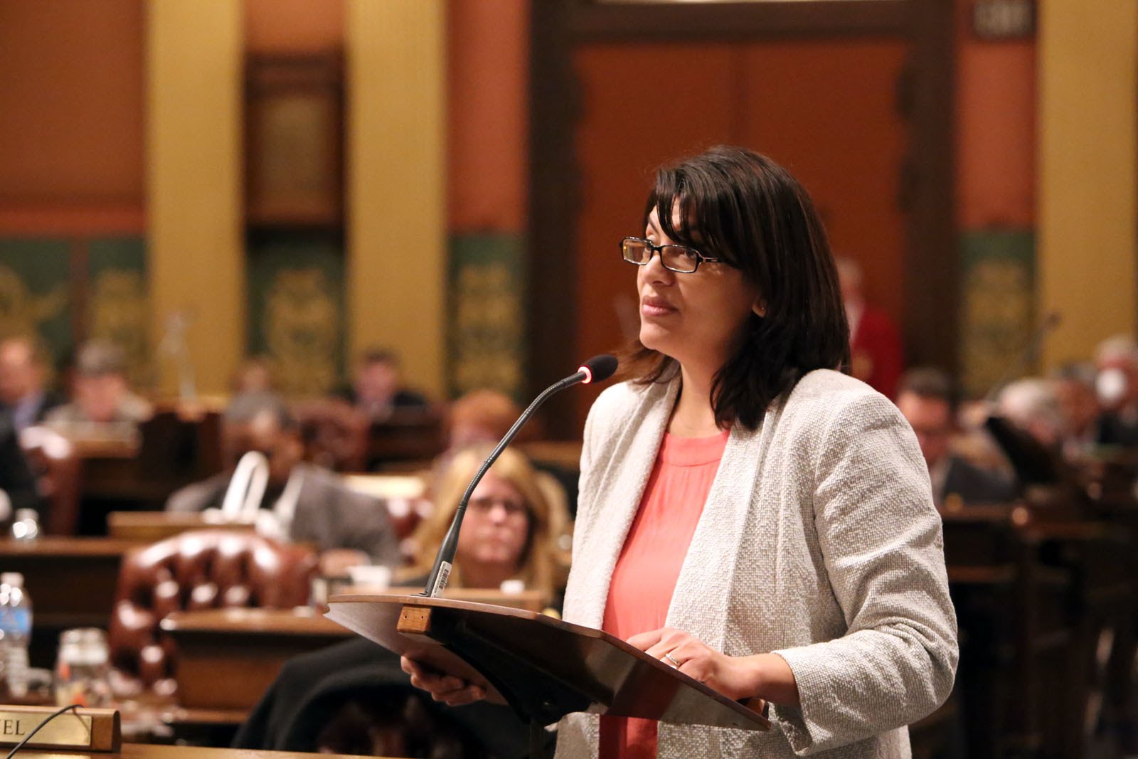 Rashida Tlaib, a trailblazing Muslim woman, is the new face of the ...