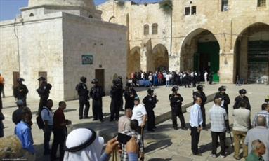 154 Settlers Storm Al Aqsa