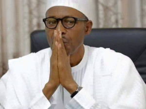 ‘Buhari was briefed before Shiite clampdown’ 