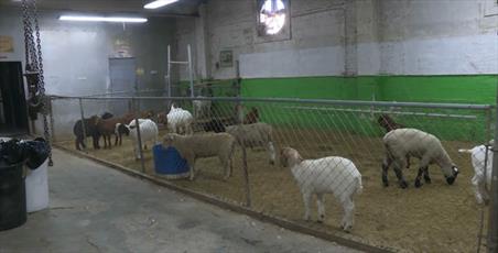 Halal food hit $20 billion industry in US