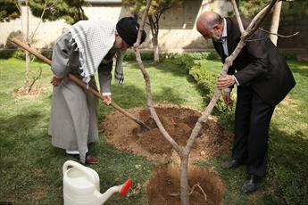 Ayatollah Khamenei planted tree saplings 