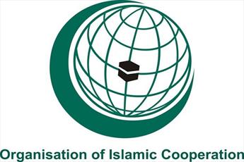 OIC Condemns Insulting Remark Made by India Ruling Party's Official