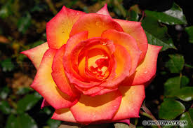 La plus grande capitale d'un homme