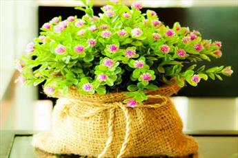 Les meilleurs hommes du point de vue du prophète (psl)