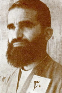 شهید سعیدی