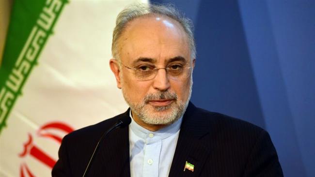 شهید لاریجانی با دو بال علم و دین در مقام انسانیت اوج گرفت