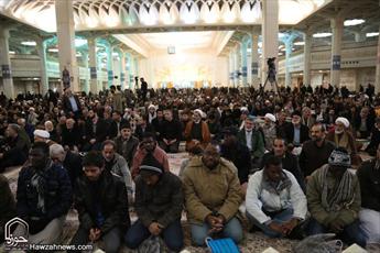 بزرگداشت شهدای نیجریه در قم برگزار شد