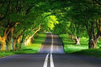 عبرت آموزی، بالاترین دستآورد سفر است