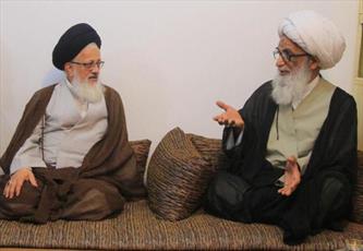 نماینده رهبری در عراق با آیت الله العظمی بشیر النجفی دیدار کرد+عکس