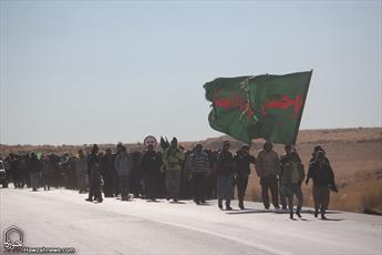 تصاویر/ پیاده روی کاروان زائران حرم رضوی