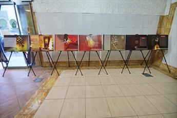 نمایشگاه «یاس نبوی» و «یاس بی نشان» +تصاویر