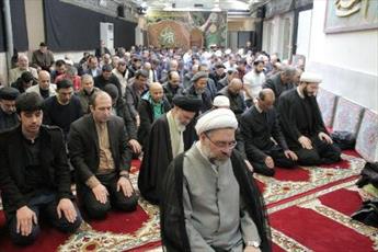 عکس/ آیت‌الله حسینی بوشهری در نماز جمعه وین