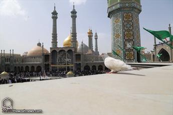 محل‌های استقرار زائران حرم حضرت معصومه(س) در لحظه تحویل سال