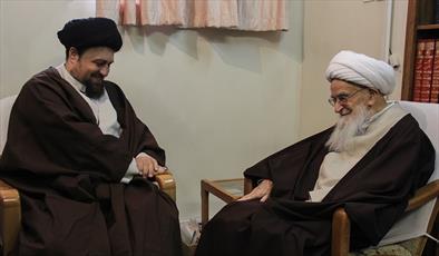 سید حسن خمینی با آیت الله العظمی صافی گلپایگانی دیدار کرد