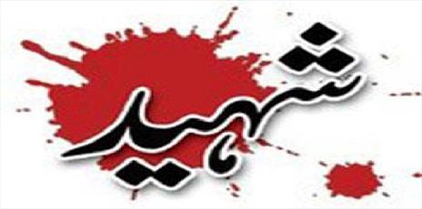 یک پزشک شیعه در کراچی  به شهادت رسید