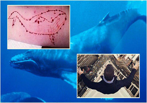 نماینده الازهر خواستار آگاه سازی جوانان درباره خطر "نهنگ آبی" شد