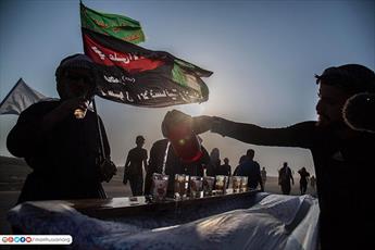 حال و هوای پیاده روی اربعین حسینی در قاب تصویر (۲)