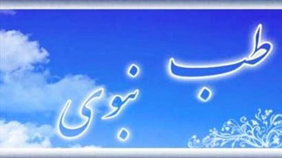 همایش «علم و انتظار» در قم برگزار شد