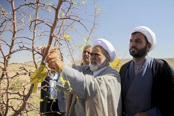 دستانی که برای محرومین پلاک می کوبند+ عکس