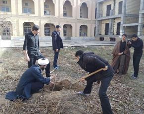 کاشت درخت در محوطه مدرسه علمیه امام صادق (ع) قروه+ عکس