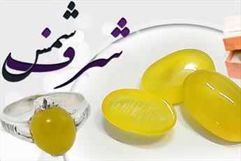 درباره شرف الشمس چه می دانیم؟!