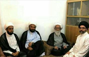 گروهی از شیعیان و علمای پاکستان با آیت الله العظمی بشیر نجفی دیدار کردند