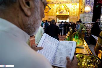 مراسم شب قدر در حرم حضرت سید الشهدا (علیه السلام) برگزار شد+ تصاویر