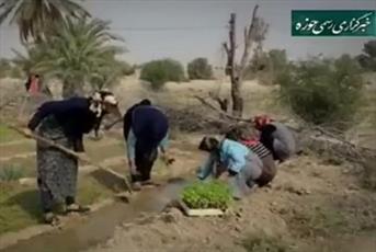 فیلم/ تلاش های یک روحانی روستا برای اشتغال مردان و زنان 