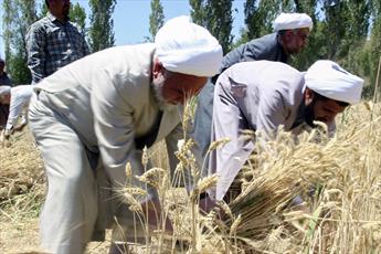 طلاب خراسان شمالی  به کمک کشاورزان می‌روند