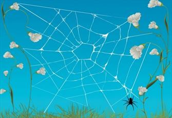 معجزه علمی آیه ۴۱ سوره عنکبوت