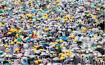 تصاویر/ مسلمانان  سرتاسر جهان خود را برای عید قربان آماده می سازند